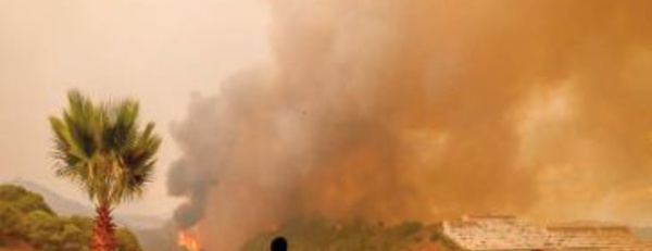 2.000 personnes évacuées en raison d' un violent incendie dans le sud de l’Espagne