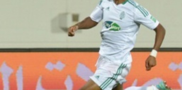 Le printemps est aux Verts :  l’ASFAR en sait des choses