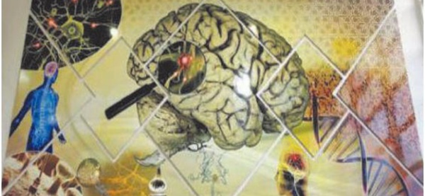 L'impact des neurosciences sur la société au centre d' une conférence à Rabat