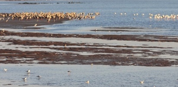 Echanges sur l’état des lieux de Oued Souss