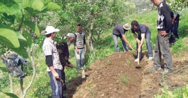 De jeunes Marocains explorent l’agriculture et la biodiversité