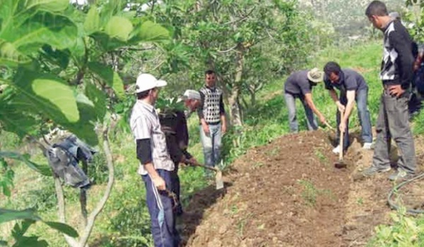 De jeunes Marocains explorent l’agriculture et la biodiversité