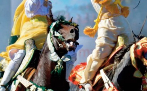 Trophée Hassan II de tbourida: Les meilleurs cavaliers se donnent rendez-vous à Dar Es Salam