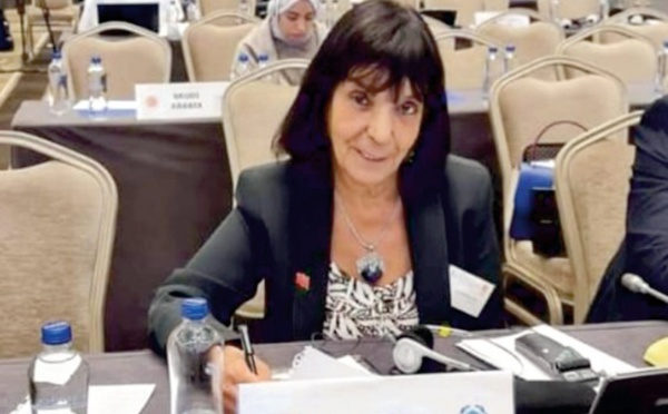 Congrès parlementaire à Istanbul autour des questions migratoires