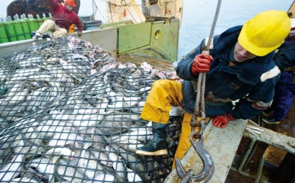 Bras de fer entre les professionnels de la pêche et Aziz Akhennouch