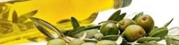 Remise des trophées de la qualité de l’huile d’olive vierge extra au titre de l’année 2014