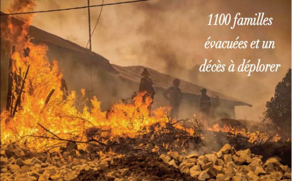 Des centaines d'hectares parties en fumée