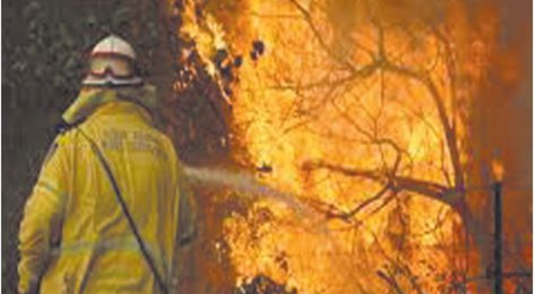 Les équipes d'intervention à pied d’œuvre pour circonscrire les incendies de forêt 