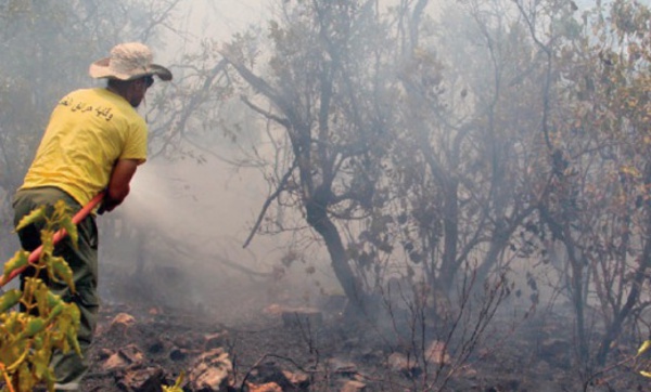 Poursuite des efforts pour lutter contre les incendies de forêt