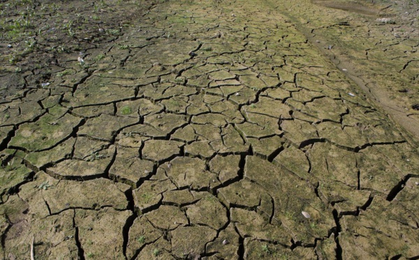 Les canicules à répétition, un marqueur du réchauffement climatique