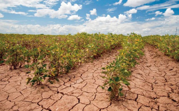 La vulnérabilité climatique n’est pas une fatalité