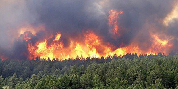 Les feux de forêt de "Jbal Ammar Teskart" et "Bouidar" complètement circonscrits