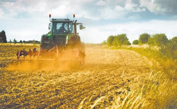 La valeur ajoutée agricole prévisionnelle devrait enregistrer une baisse de 14%