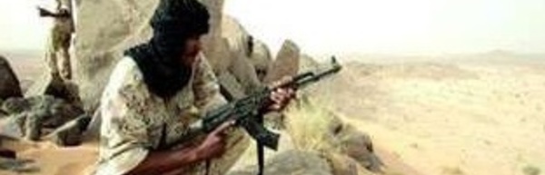 Deux villes du Nord du Mali aux mains des rebelles touareg