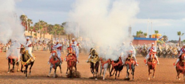 Entre les Doukkalis et le cheval, un lien particulier profondément enraciné dans l'histoire