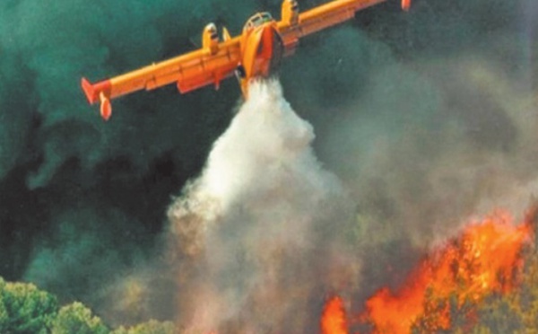 Incendie de la forêt “KodiatTifour” près de M'diq: Ouverture d'une enquête judiciaire approfondie pour déterminer les circonstances et les coupables