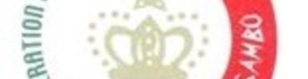 Stage au profit des enseignants de sambo