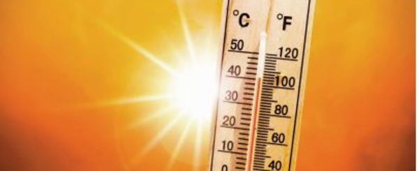 Retour de la canicule