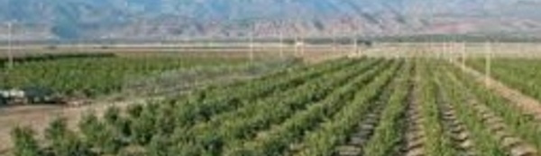 Mobilisation  de plus de 1900 hectares pour les petits projets agricoles
