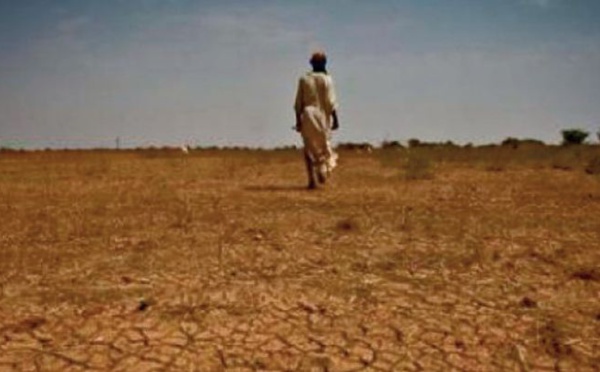 Les sécheresses récurrentes au Maroc entre prédictibilité et fatalité