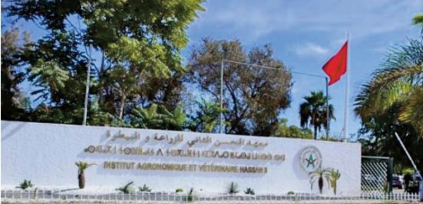 Série de mesures pour la continuité du parcours universitaire des étudiants marocains de retour d'Ukraine