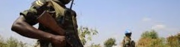 110 rebelles tués dans des combats au Soudan