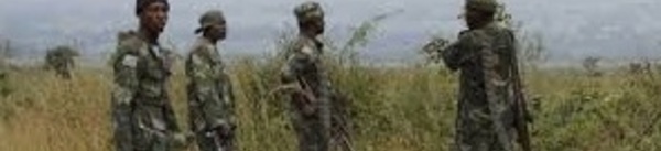 Nouveaux tirs d'armes à la frontière entre le Rwanda et la RDC