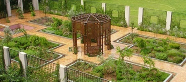 Le Jardin d’essais  botaniques de Rabat  souffle sa première bougie