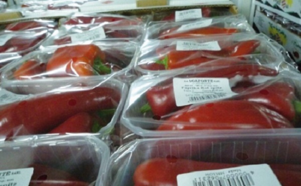 Les producteurs marocains de fruits et légumes saisissent la Cour européenne de justice