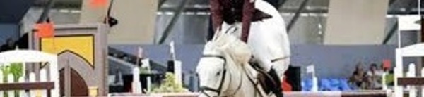 Une feuille de route pour confirmer  l'excellence des sports équestres au Maroc