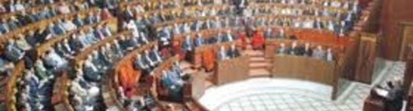 Les rôles de l'opposition et de la majorité dans le système parlementaire passés sous la loupe