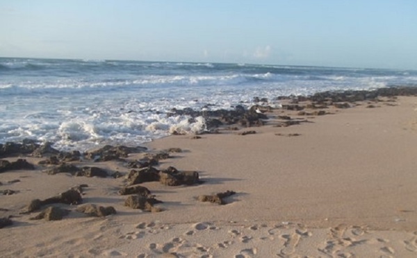 La cession de la plage “Sahb Addahab” de Harhoura provoque l’ire du Réseau marocain de défense des biens publics