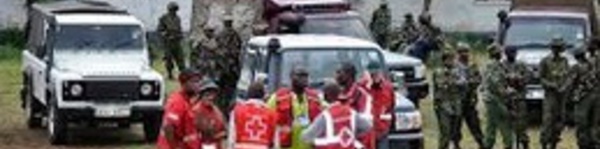Des attaques font  18 morts dans  la région côtière de Lamu au Kenya