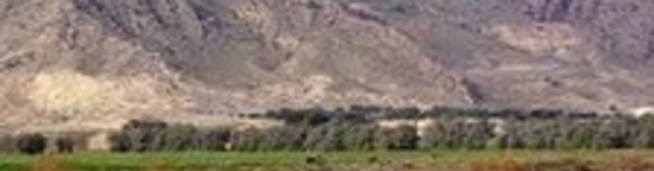 Quatorze soldats tunisiens victimes d’une attaque "terroriste" sur le mont Chaambi
