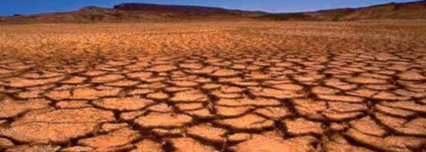 Stress hydrique au Maroc : Mobilisation tous azimuts à la quête de solutions innovantes