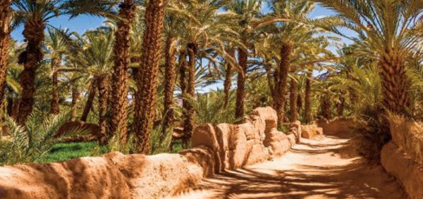 Action climatique: 78 milliards de dollars d’investissements nécessaires pour le Maroc d’ici 2050