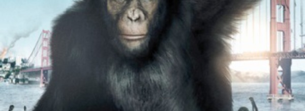 “La planète des singes”  de retour sur les écrans