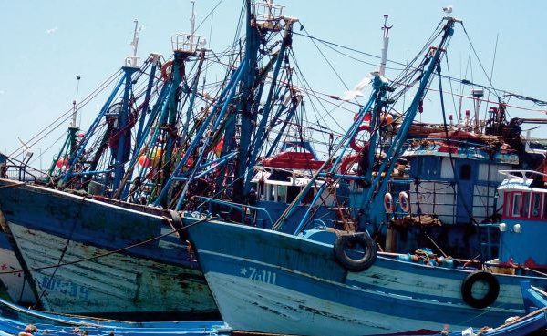 Les pêches côtière et traditionnelle broient du noir