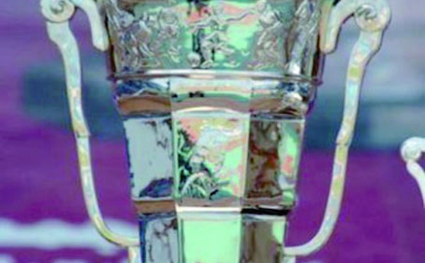 L’aventure se poursuit pour huit clubs de la division Amateur