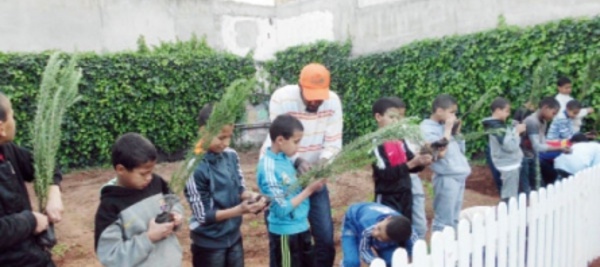 Des brigades d’enfants pour protéger l’environnement à Essaouira