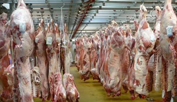 La situation actuelle des abattoirs inquiète les chevillards
