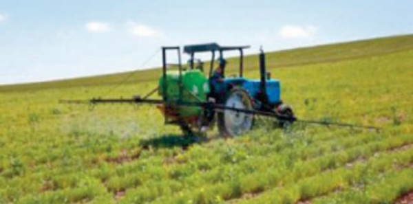 Les récentes précipitations auront un impact positif sur le couvert végétal et les activités agricoles