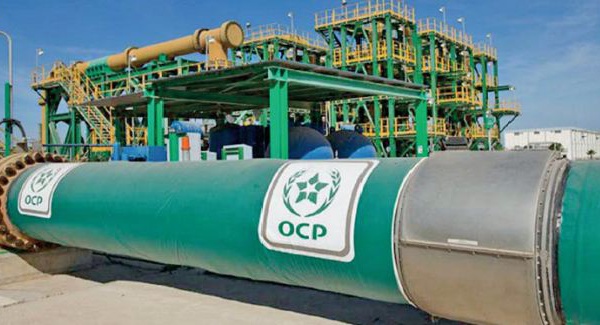 Programme d'investissement vert de l'OCP: Un pas en avant dans la bataille environnementale