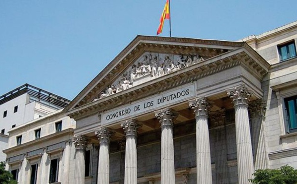 VOX excelle dans les propositions inutiles, dixit l'Espagne intelligente