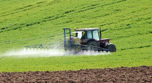 Bonnes prémices pour la campagne agricole 2022-2023 grâce aux dernières précipitations