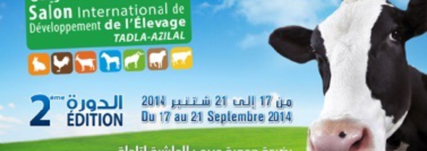 Une foire au service du  secteur de l'élevage et des  filières animales à Tadla Azilal