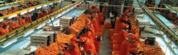 Les exportations et les importations marocaines jouent au yo-yo