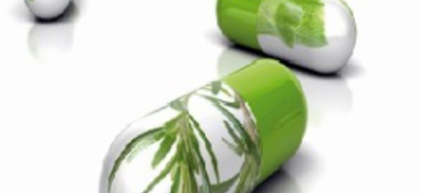Les pharmacologues arabes tiennent leur première réunion à Rabat