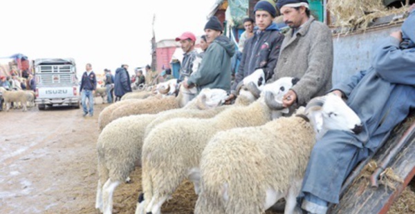 Aïd Al Adha, la fête de tous les sacrifices