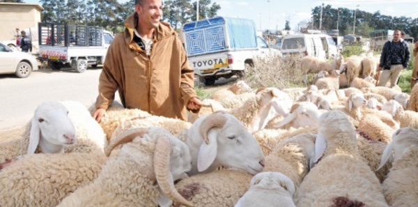 Aïd Al Adha, une occasion de faire revivre les traditions ancestrales